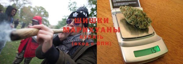 молекула духа Каменка