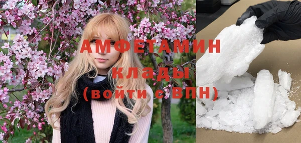 молекула духа Каменка