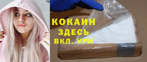 молекула духа Каменка