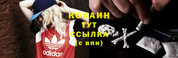 молекула духа Каменка