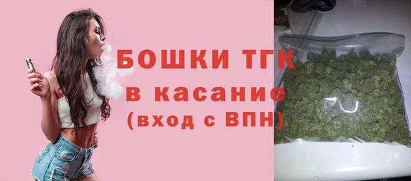 молекула духа Каменка