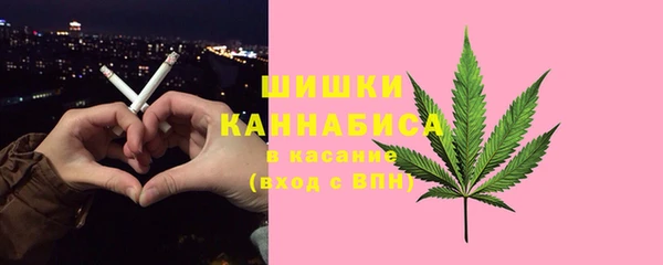молекула духа Каменка