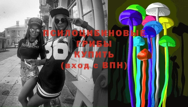 молекула духа Каменка