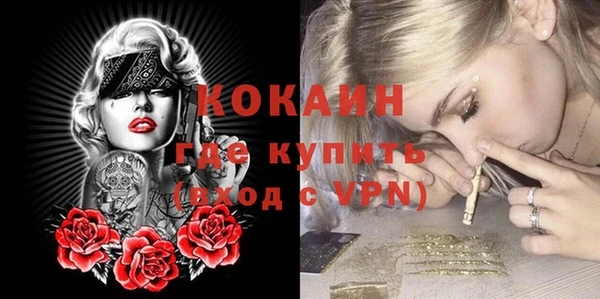 молекула духа Каменка