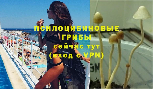 молекула духа Каменка