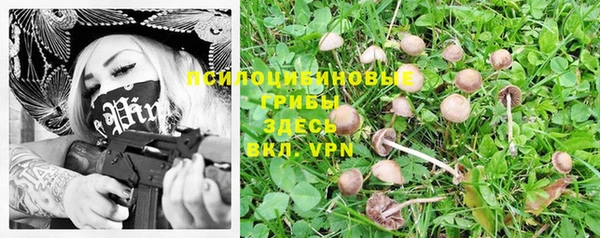 крисы Каменск-Шахтинский