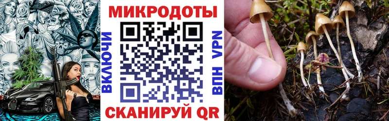 Купить закладки  Большой Камень  Псилоцибиновые грибы GOLDEN TEACHER 